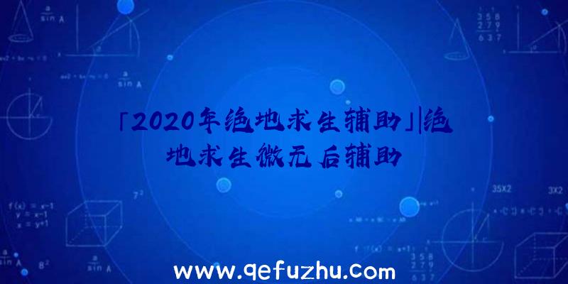 「2020年绝地求生辅助」|绝地求生微无后辅助